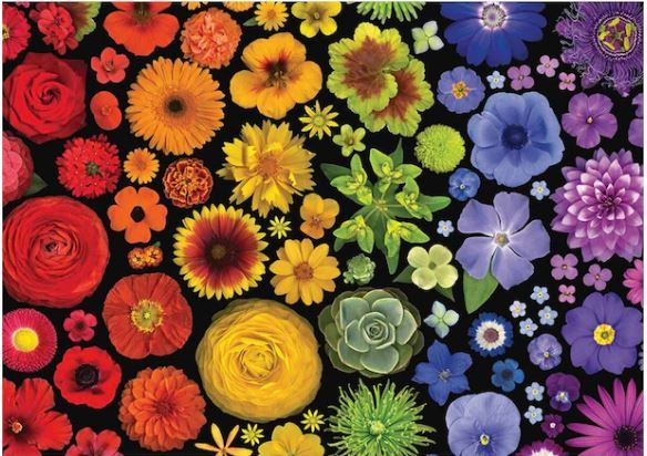 Ravensburger Puzzle 15999 - 1000 Teile - Color Palettes - Flower Power