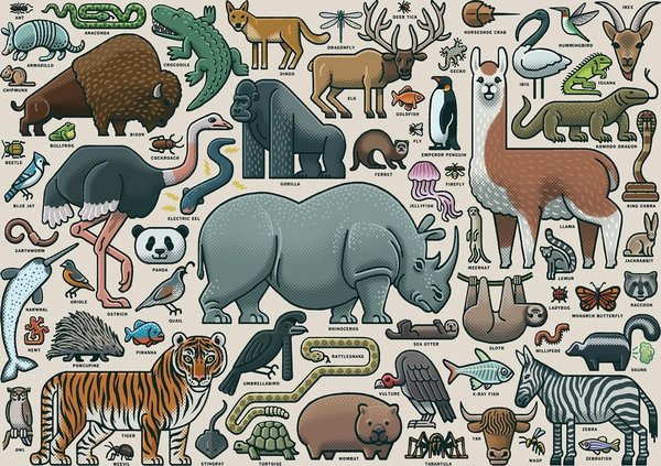 Ravensburger Puzzle 16807 - 1000 Teile - Mario Zucca - You Wild Animal / Wilde Tiere