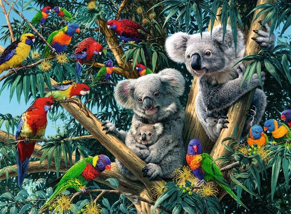 Ravensburger Puzzle 14826 - 500 Teile - Koalas im Baum