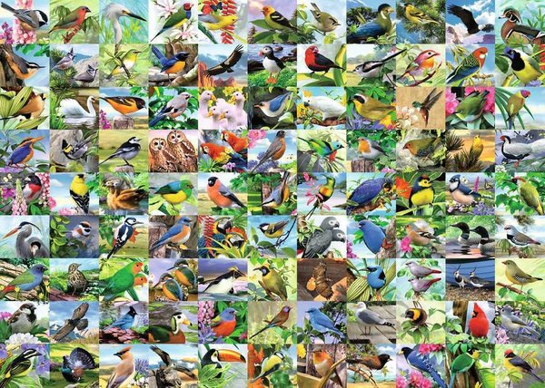 Ravensburger Puzzle 16937 - 300 Teile - Large - 99 Delightful Birds  - Rarität